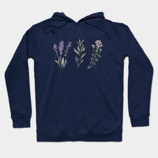 Provencal herbs Hoodie